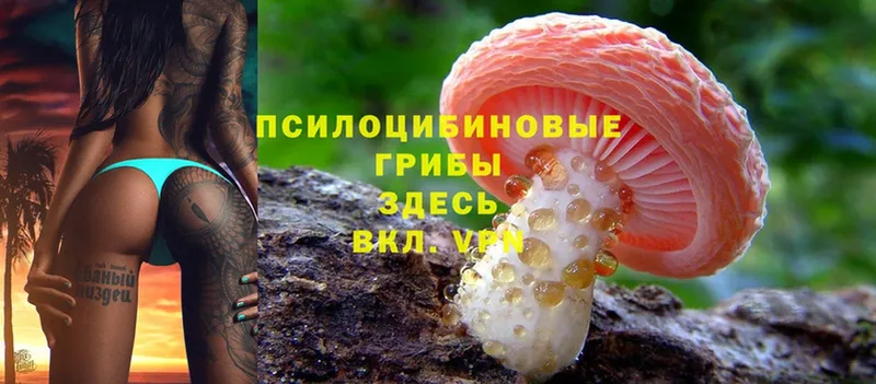 Галлюциногенные грибы MAGIC MUSHROOMS  Малаховка 