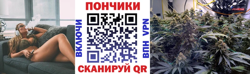 Бошки марихуана планчик  МЕГА зеркало  Малаховка 